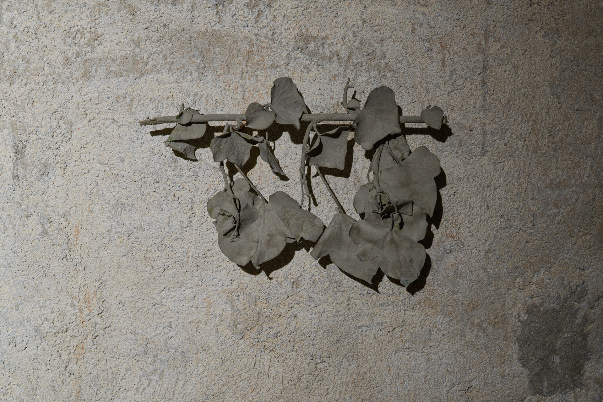 Anzhelika Palyvoda, cast ceramic leaves hung on a rod mounted to plaster wall, vaulted corridor, 2026