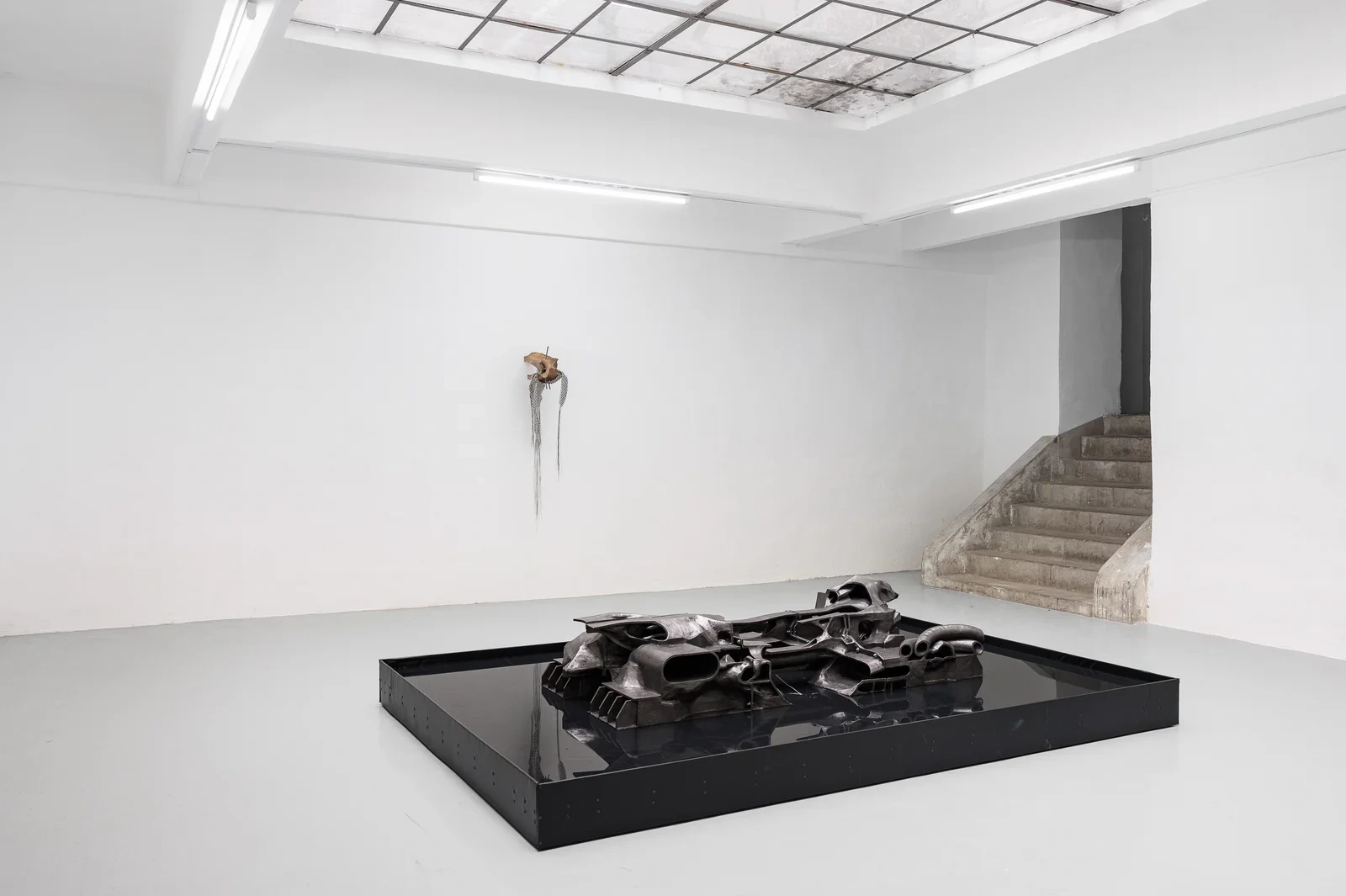 Laurence Sturla's Fieldnotes (Plant Theatre) in its black pool beside the gallery's raw concrete stair, Gianni Manhattan, Vienna.