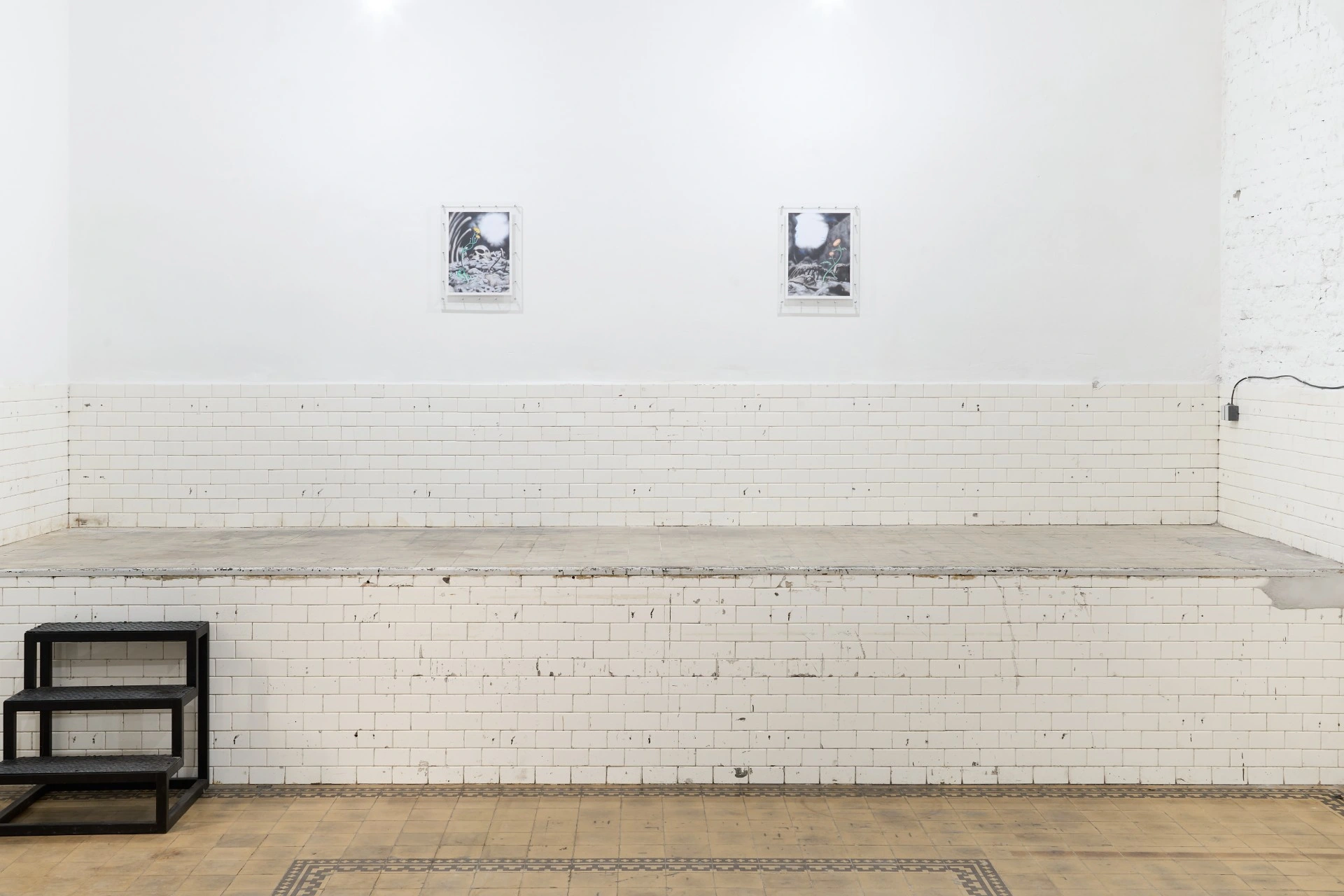 Tristan Gac, two small acrylic-mounted vanitas drawings of flowers rising from grey rubble under a white blast-sun, above worn subway tile