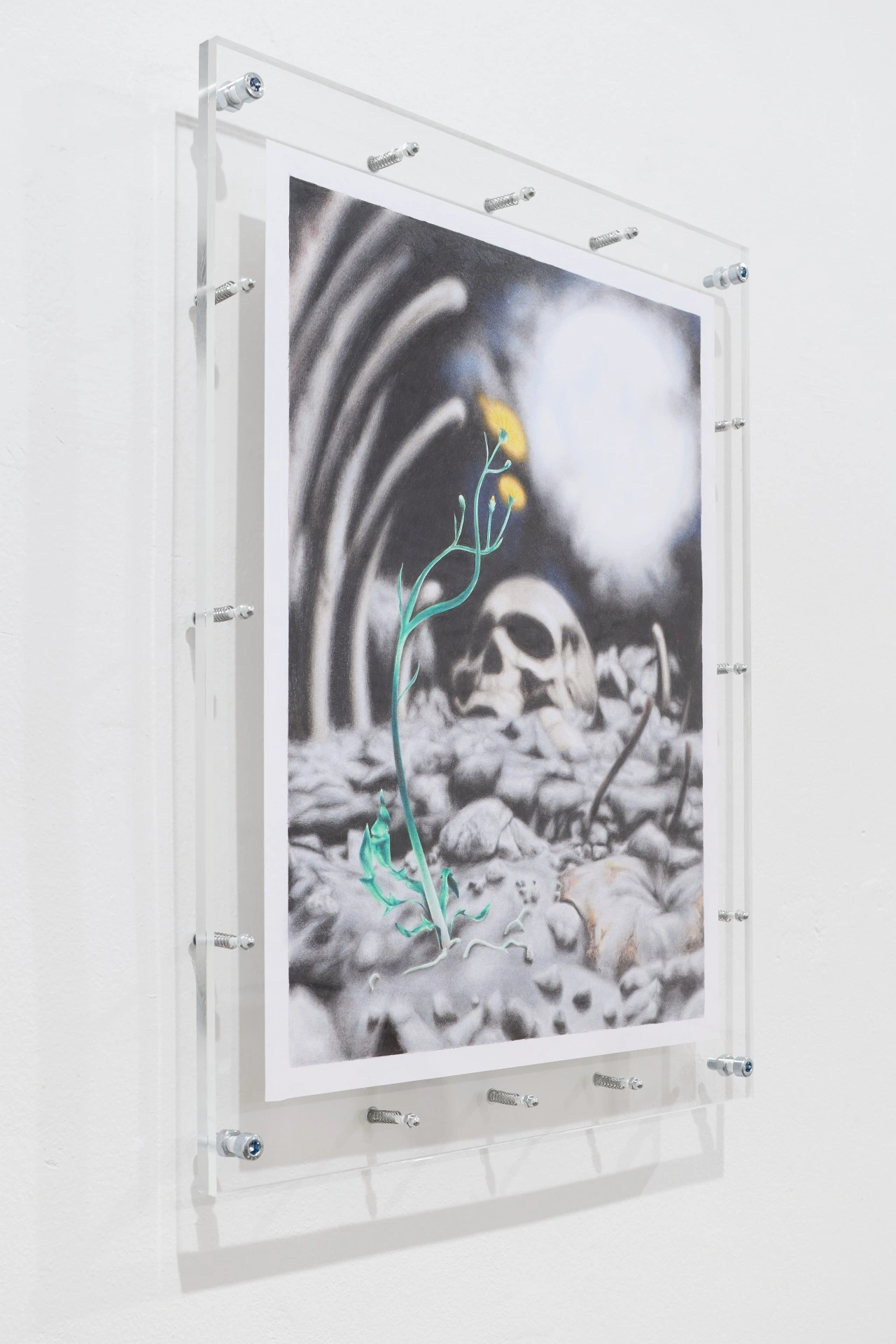 Tristan Gac, pencil drawing behind acrylic of a green dandelion and skull among grey stones with a white detonation glow and yellow blooms