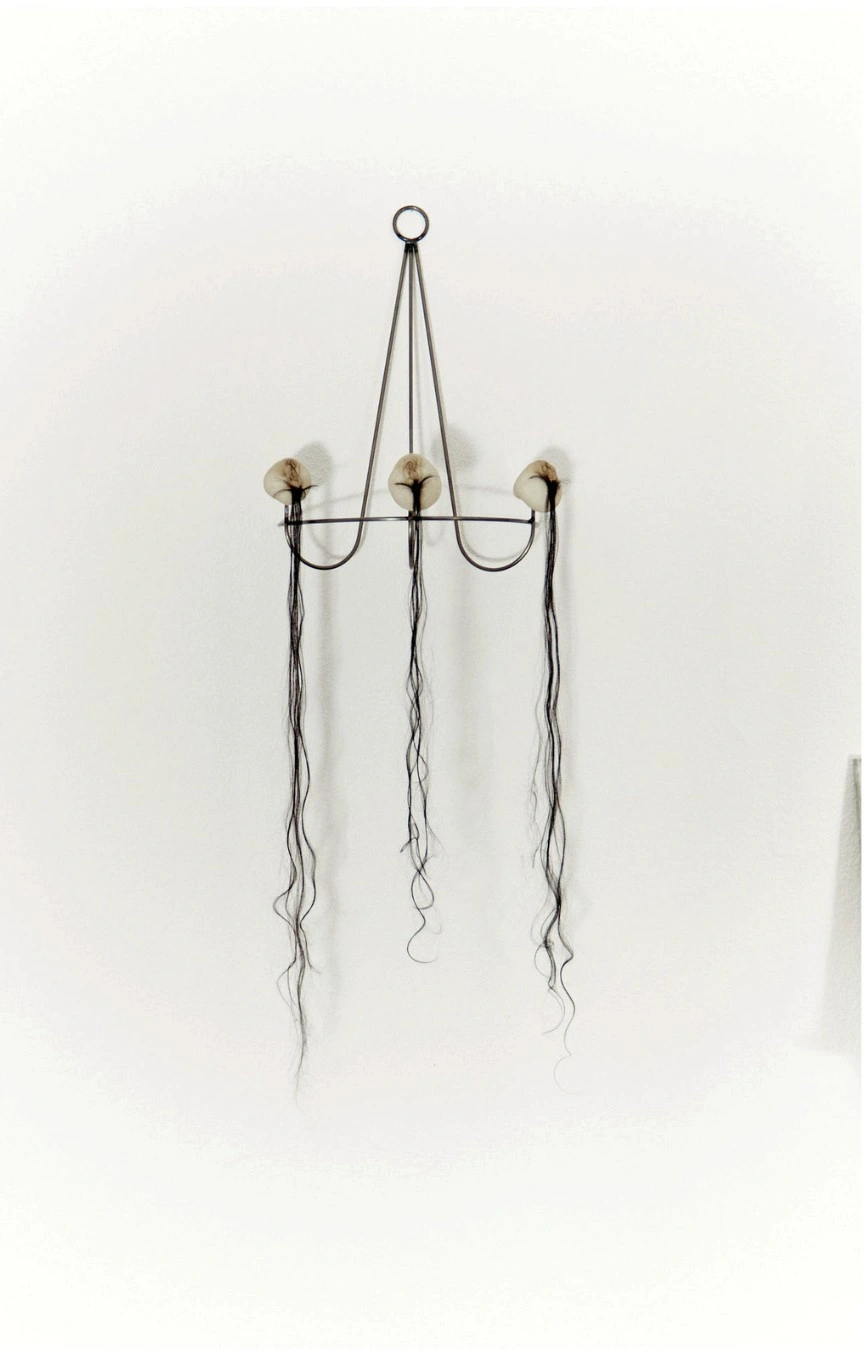 Installation view, Seeds know no tree., New Fears Gallery, Berlin, 2026. Photo: Sandro Mosco