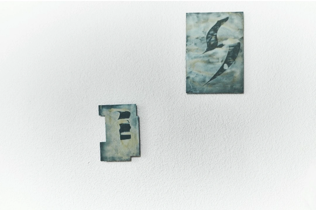 Installation view, Seeds know no tree., New Fears Gallery, Berlin, 2026. Photo: Sandro Mosco