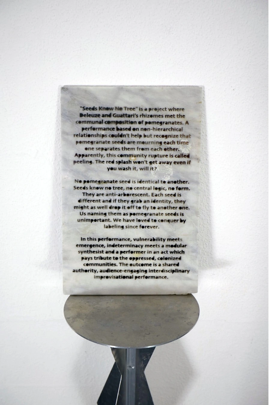 Installation view, Seeds know no tree., New Fears Gallery, Berlin, 2026. Photo: Sandro Mosco