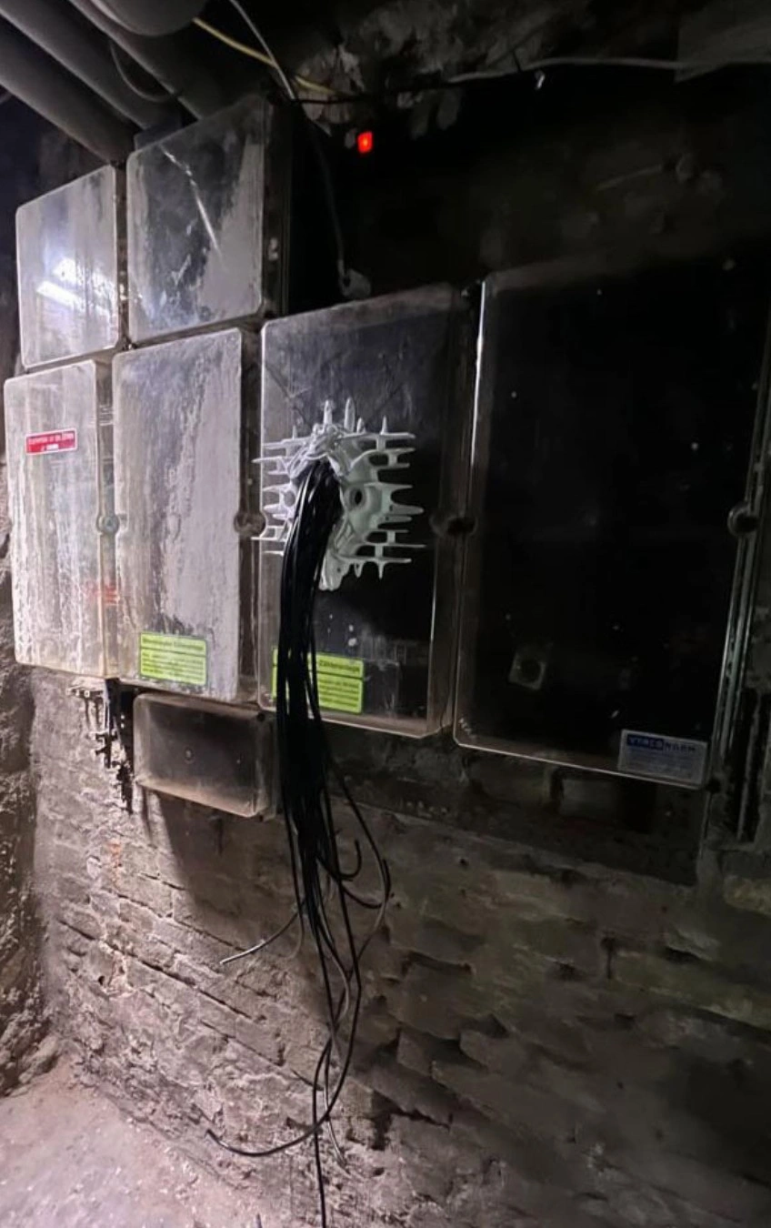 Installation view, Seeds know no tree., New Fears Gallery, Berlin, 2026. Photo: Sandro Mosco