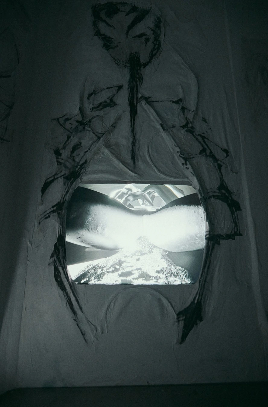 Installation view, Seeds know no tree., New Fears Gallery, Berlin, 2026. Photo: Sandro Mosco