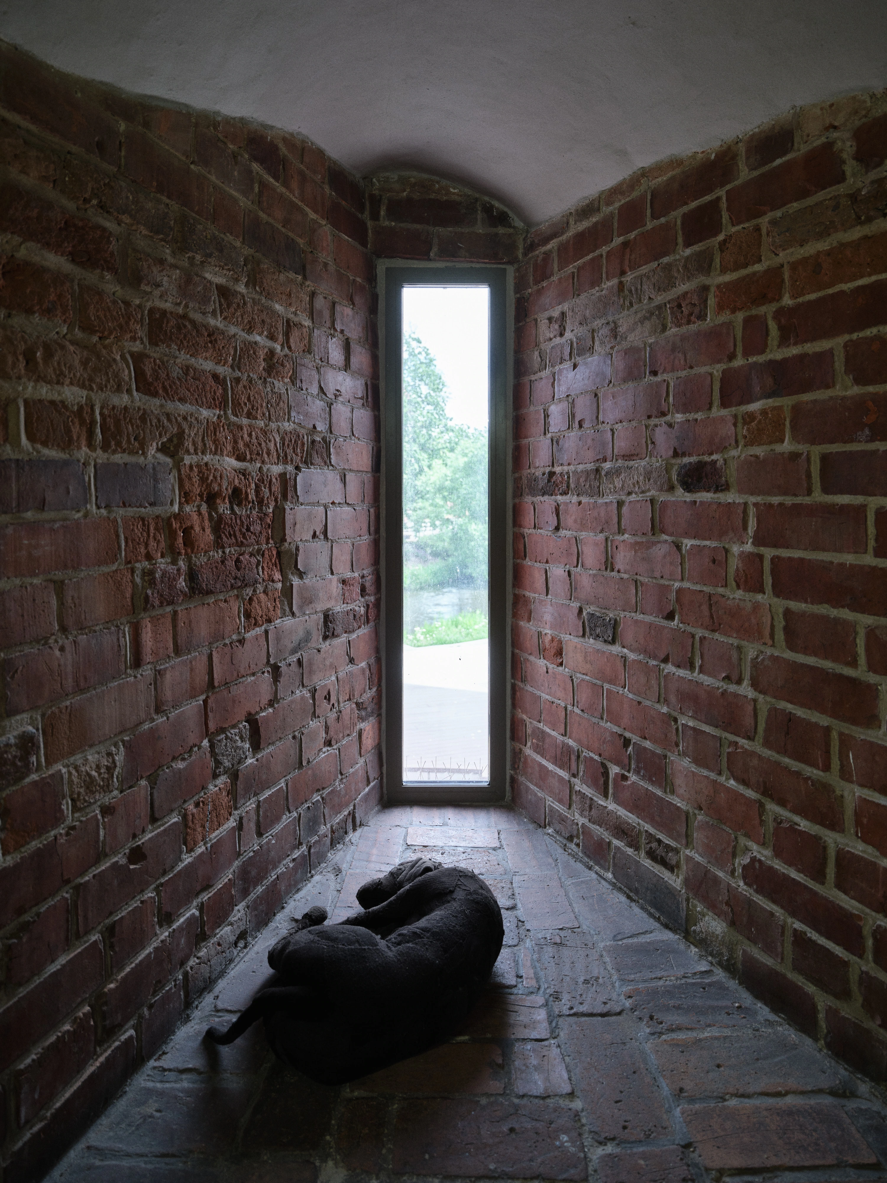 Jan Baszak, Dog curled on a brick floor at the end of a narrow passage below a tall slit window opening onto trees