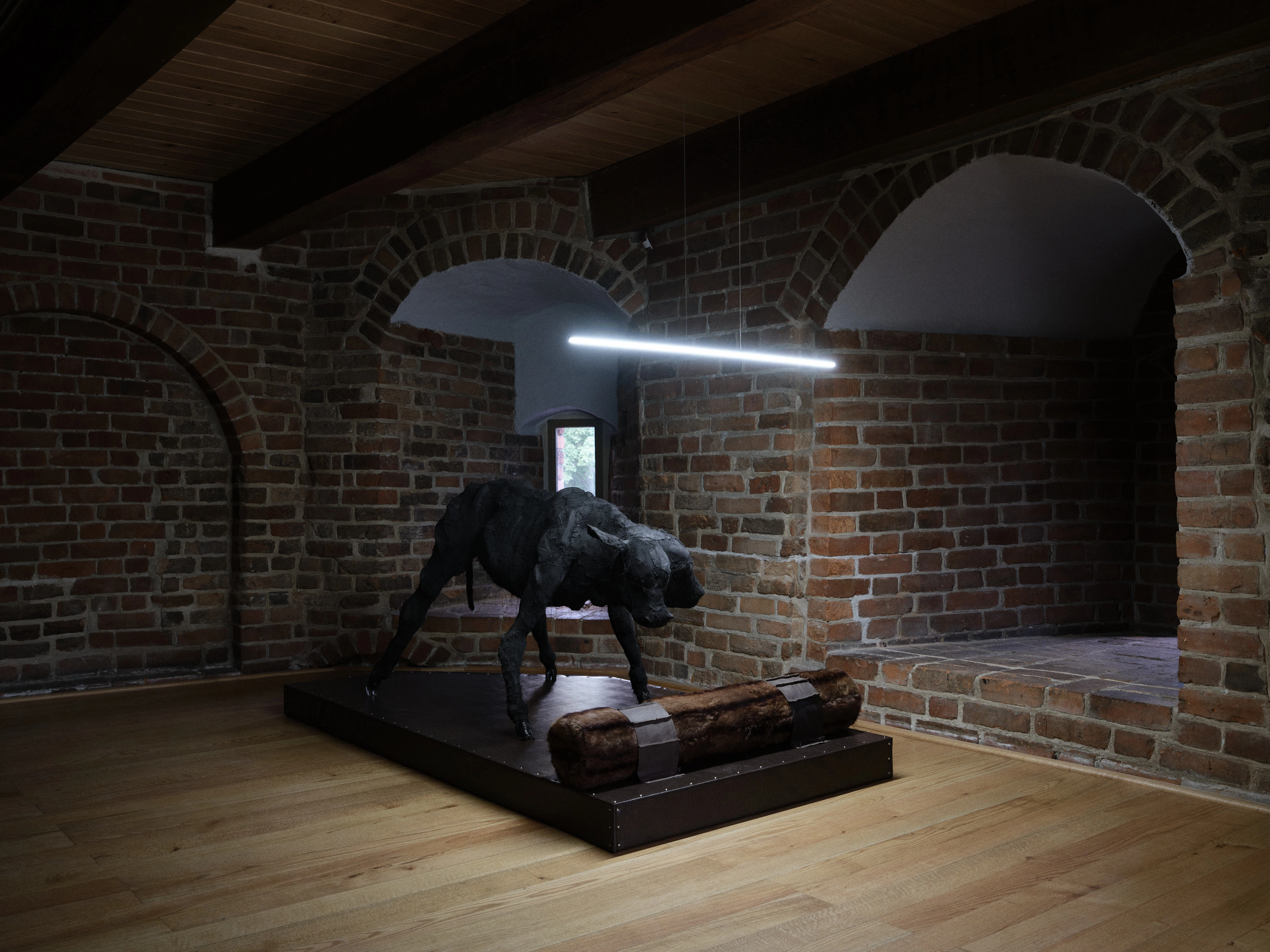 Jan Baszak, installation view of Two-Headed Calf on a dark platform with a fur bolster, under a suspended light bar in a room of brick arches