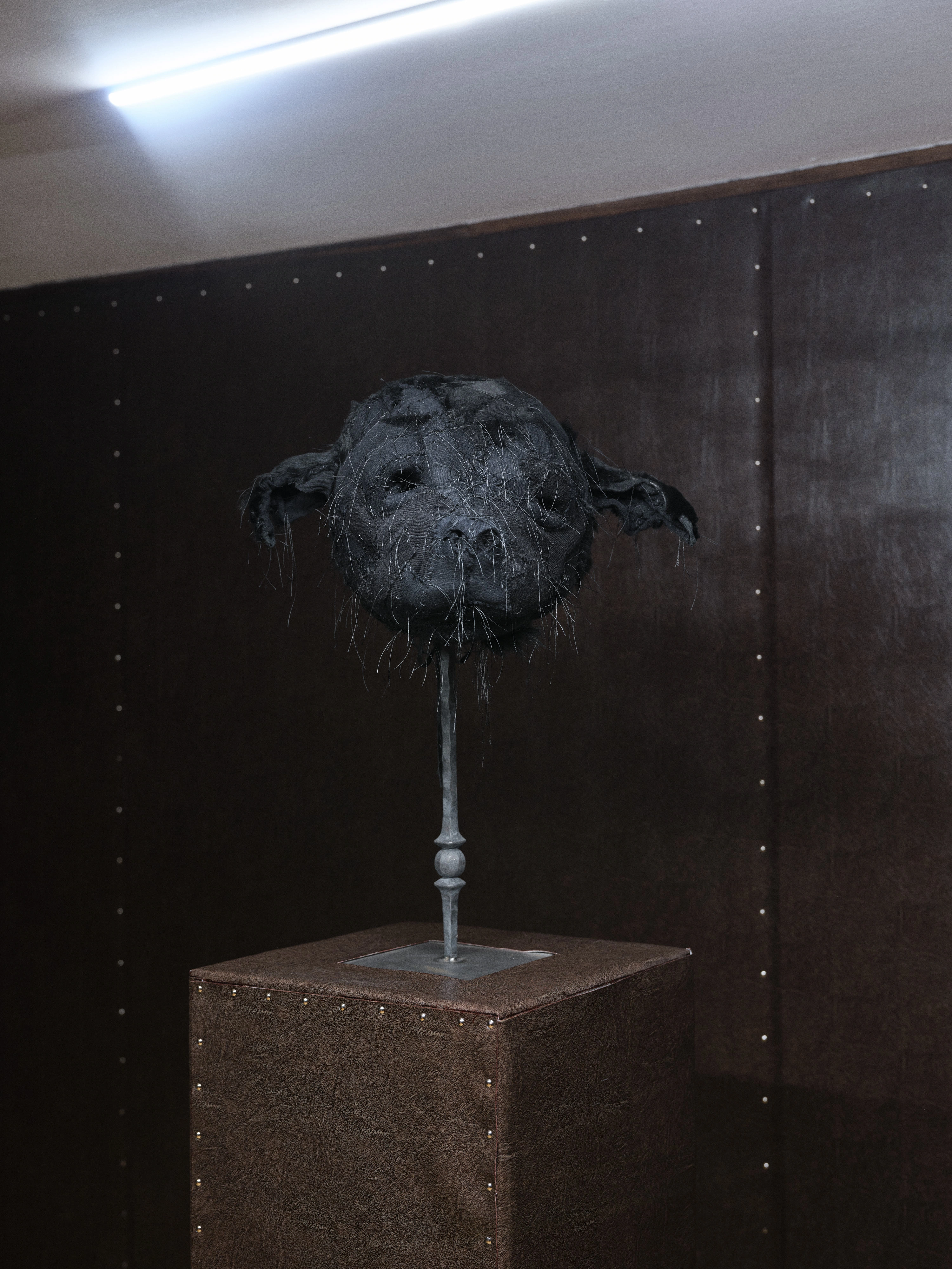 Jan Baszak, Chihuahua Mask mounted head on with ears splayed and thread whiskers catching the light against a dark riveted faux leather wall