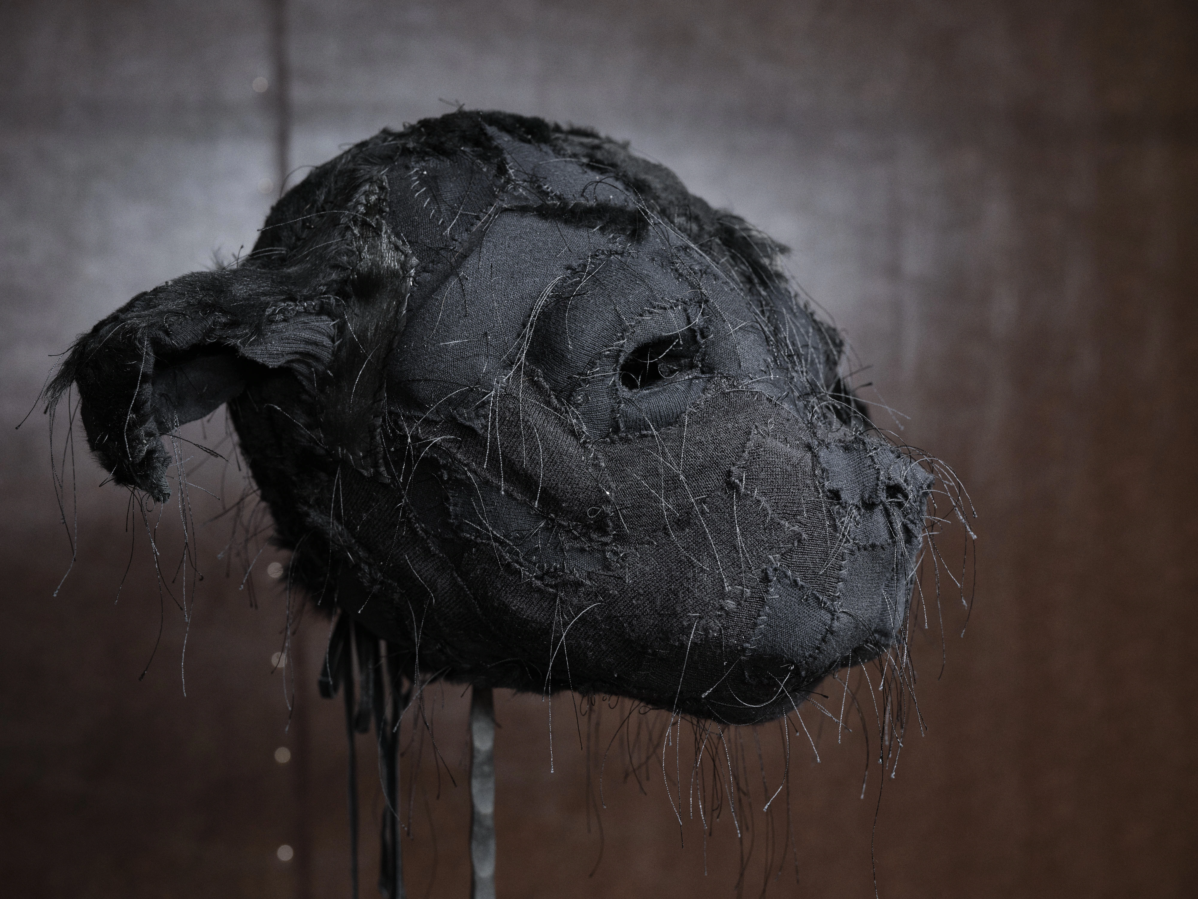 Jan Baszak, close view of a Chihuahua Mask in profile, patched black fabric over foam with an open eye socket and thread whiskers
