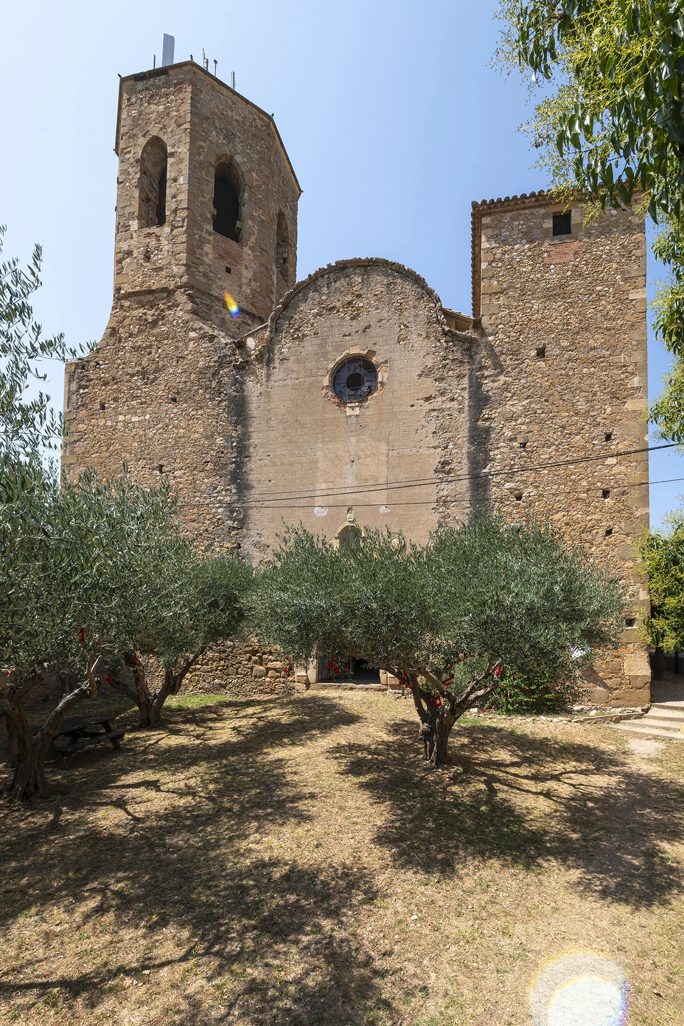 Exterior of the Church of Sant Feliu, Lladó, its bell tower and oculus seen through olive trees.