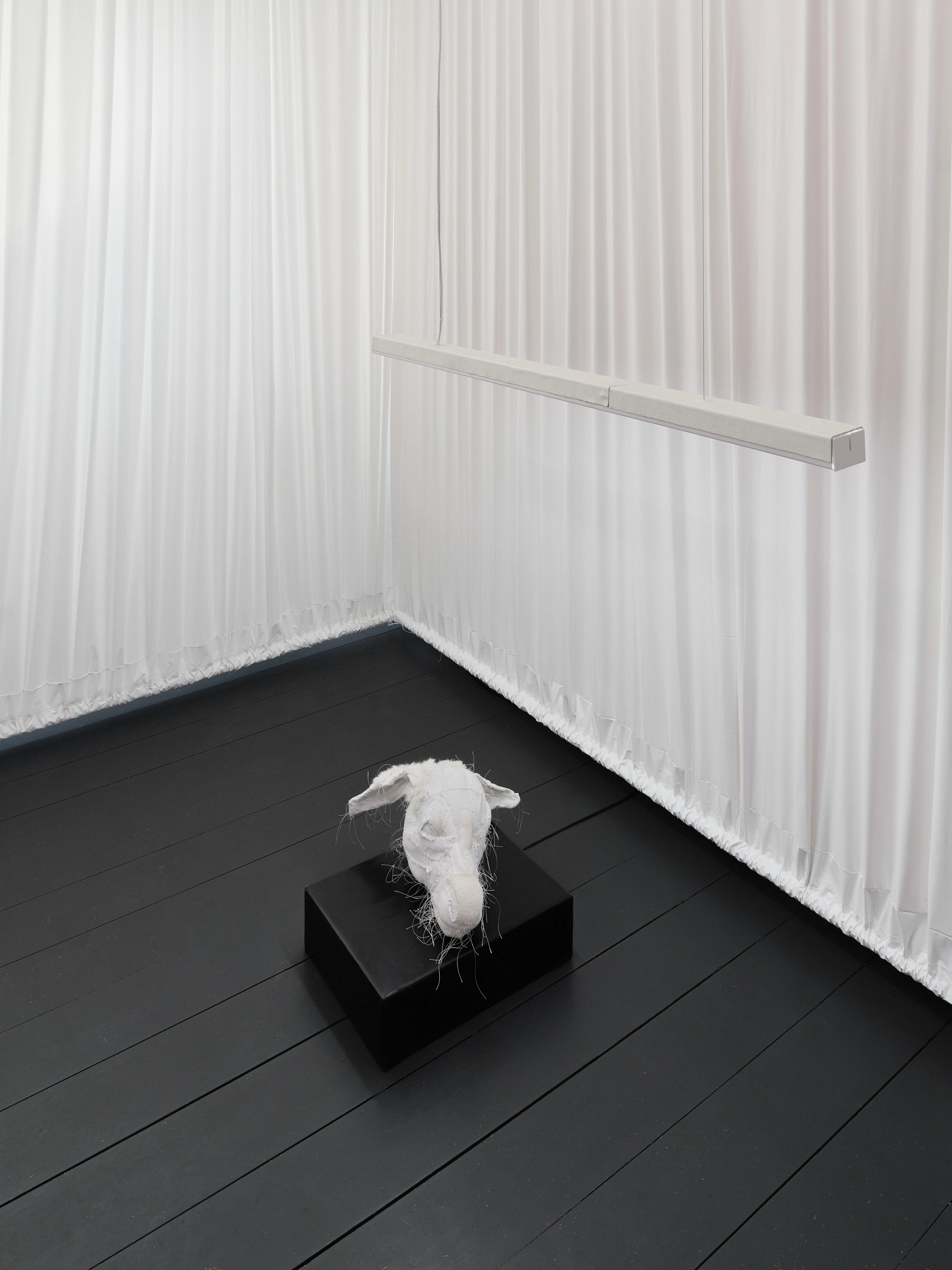 Jan Baszak, Flow My Tears, 2026, installation view, WHOISPOLA, Warsaw