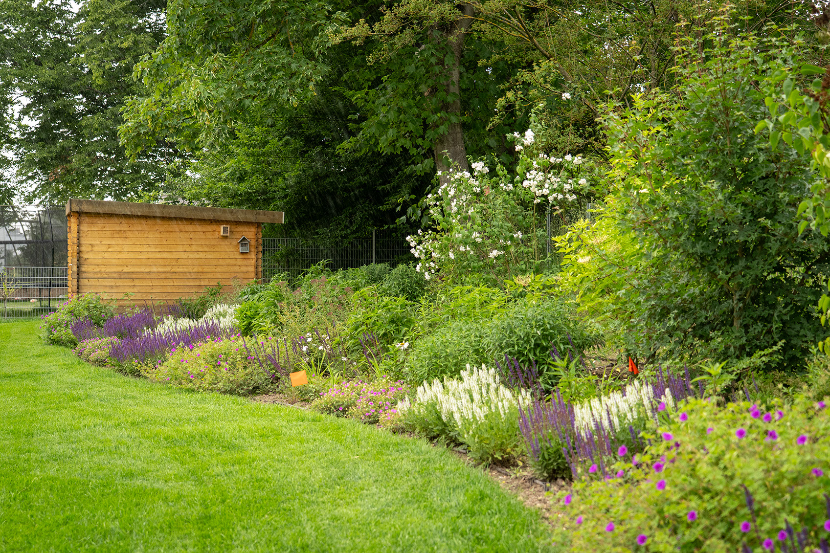 Naturnaher Garten mit artenreicher Blütenvielfalt von Frühling bis Herbst