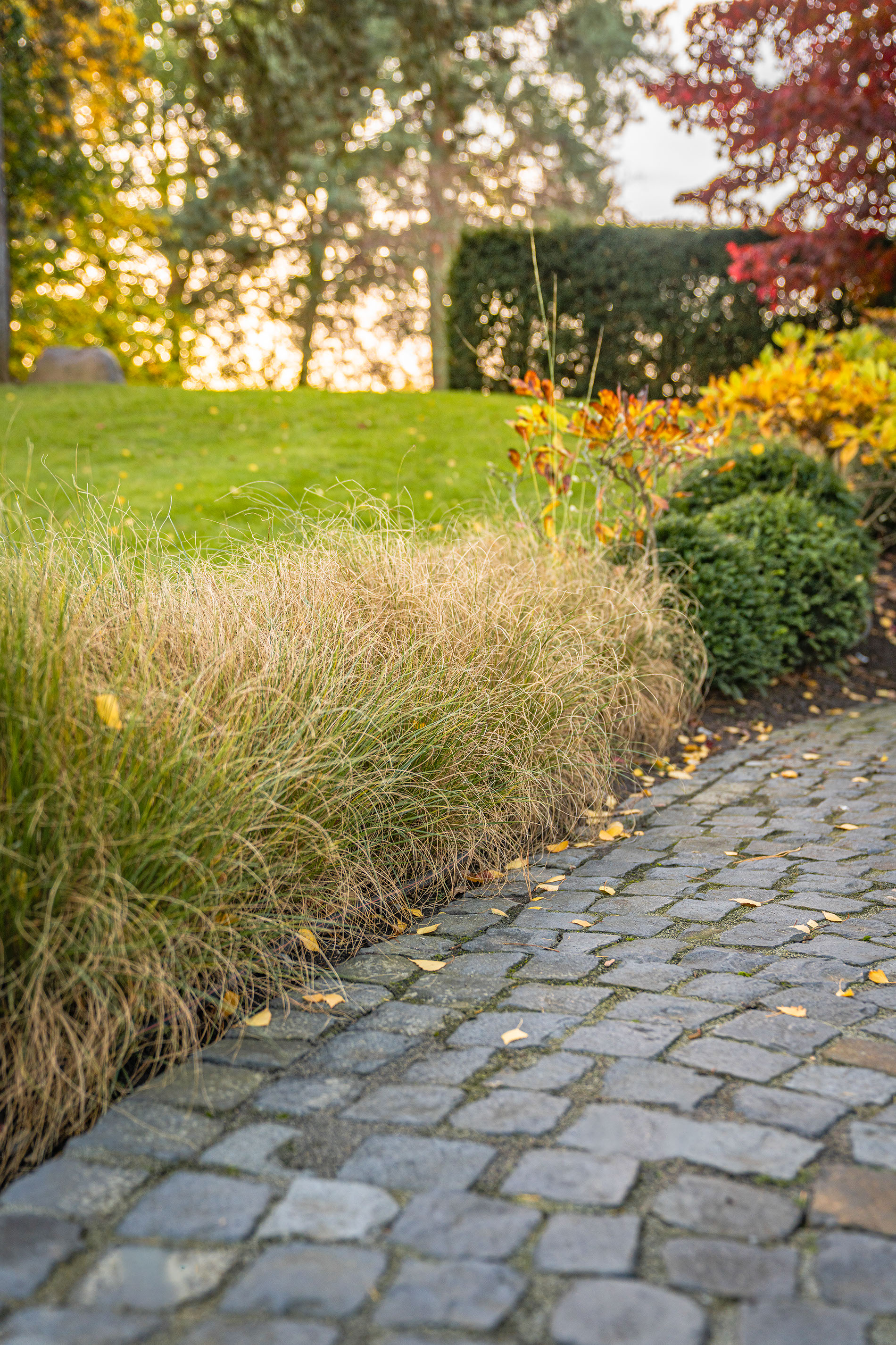 Herbstgarten mit Naturstein und großem Baumbestand