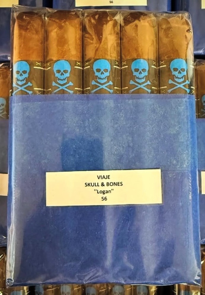 Skull and Bones Logan