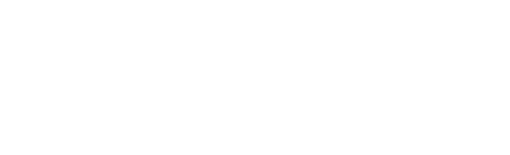 Logo Notuleerservice Nederland