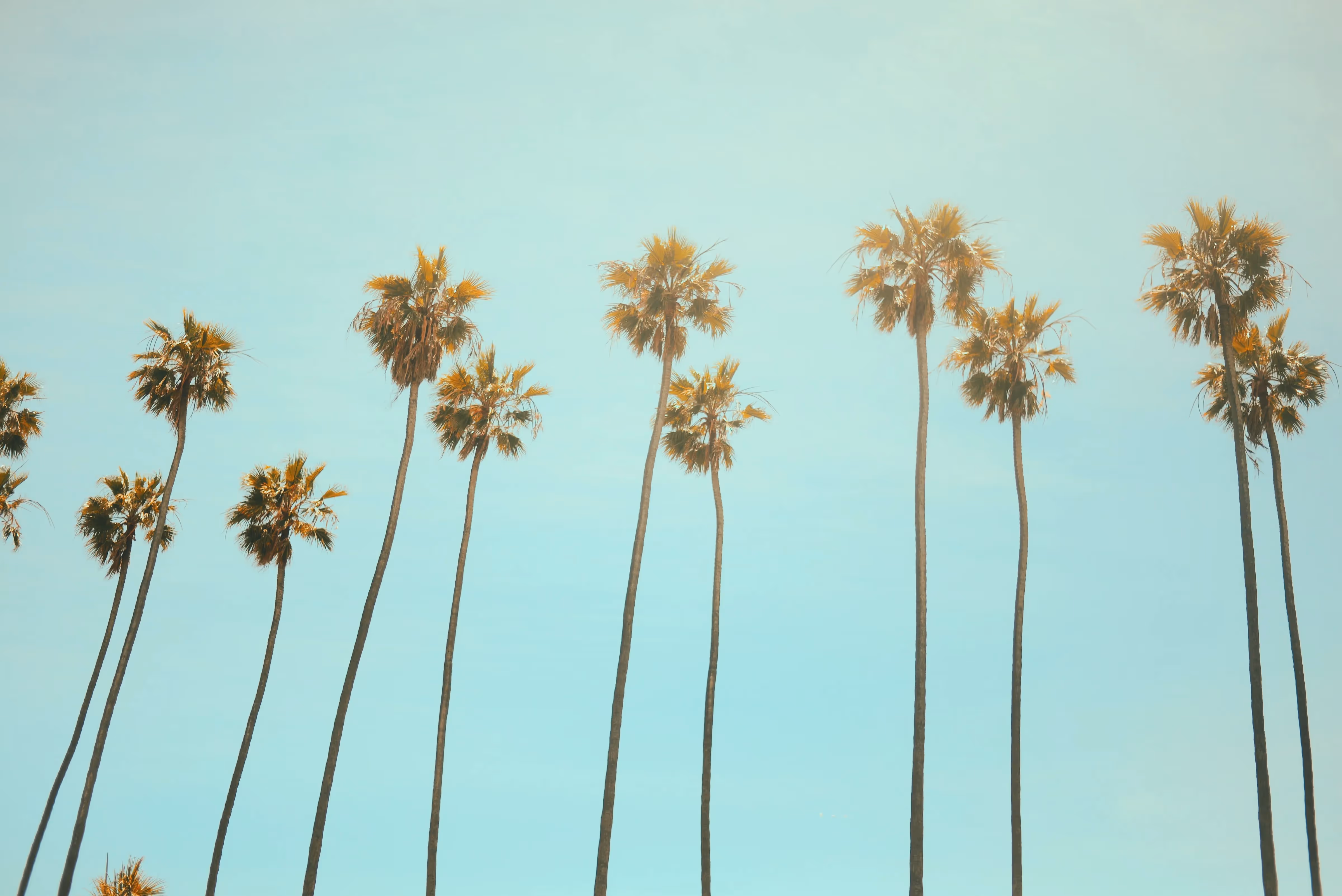 How to Become a Software Engineer in California