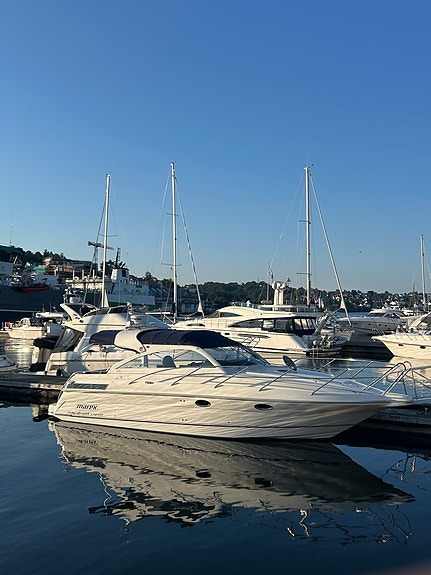 Marex 350 Cabriolet Cruiser