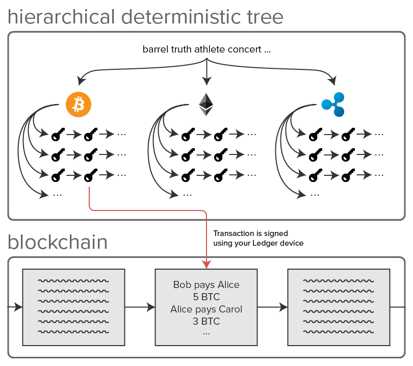 Hierarchicale Deterministic Tree