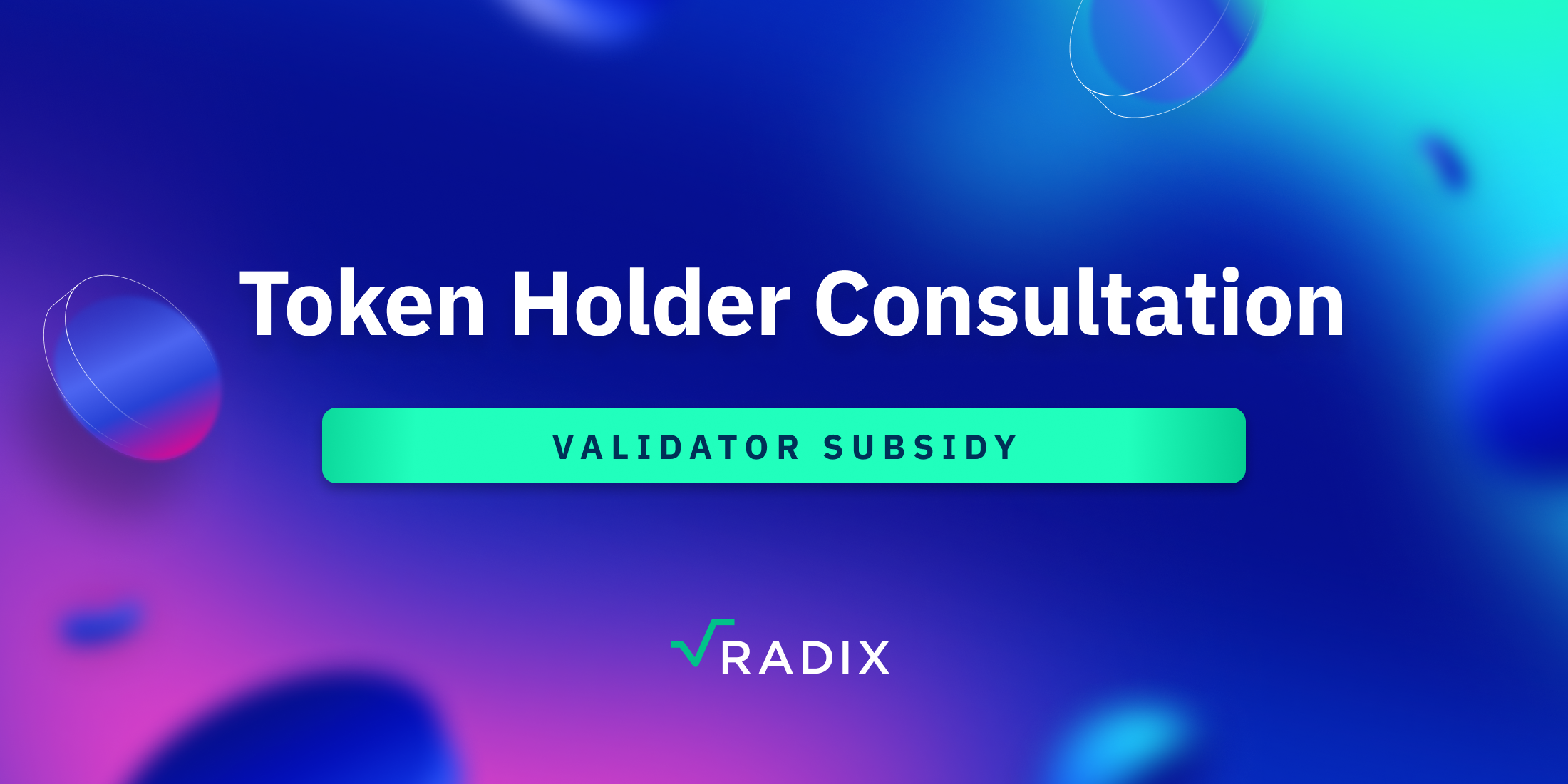 Consultation: The Future of the Validator Subsidy | The Radix Blog | Radix DLT