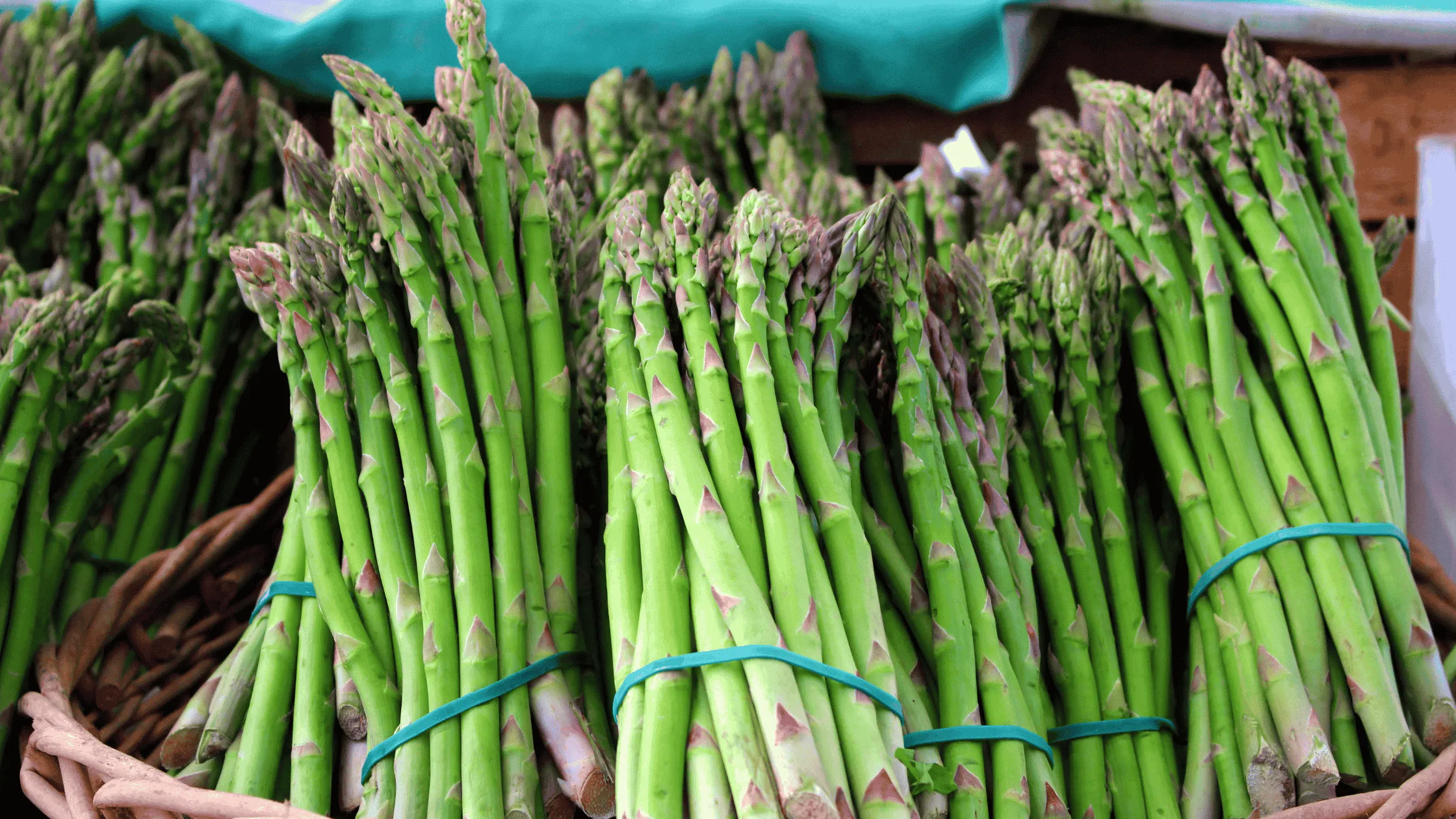 Photo of Asparagus in bunches at a organic farmers market