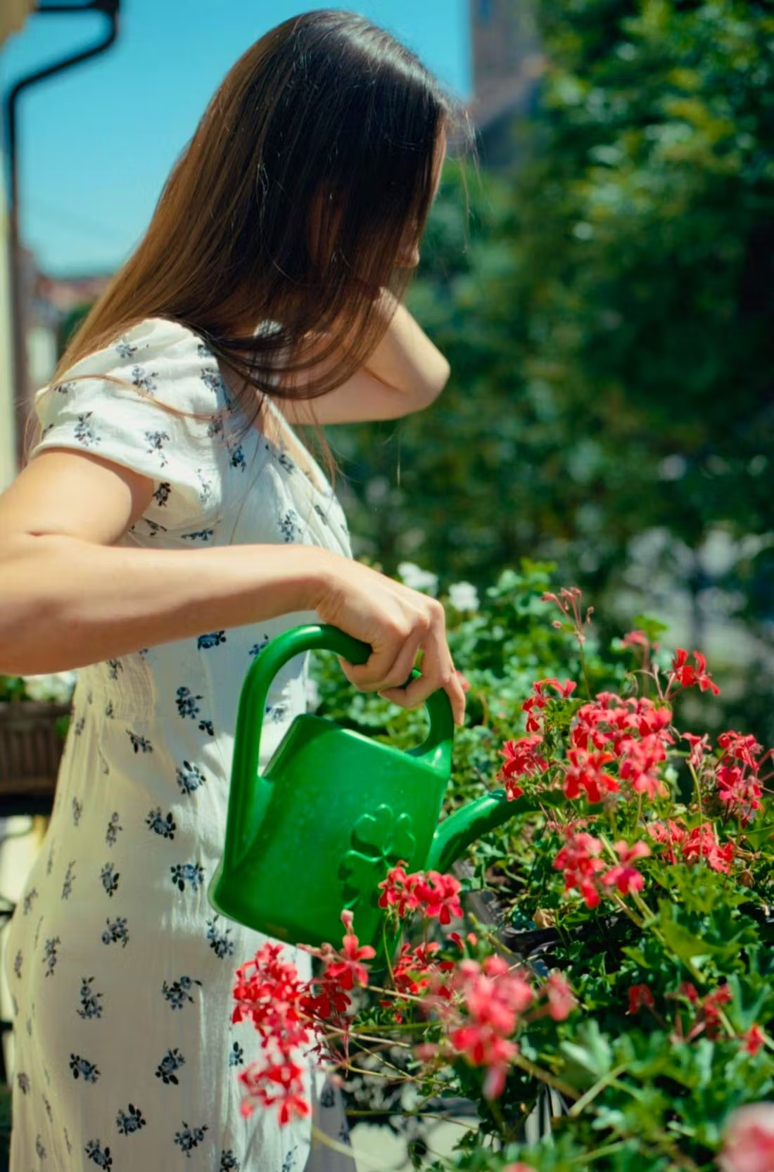 Anche piccole aree possono fare una grande differenza, ad esempio in un angolo soleggiato del giardino o sul balcone.  Pexels