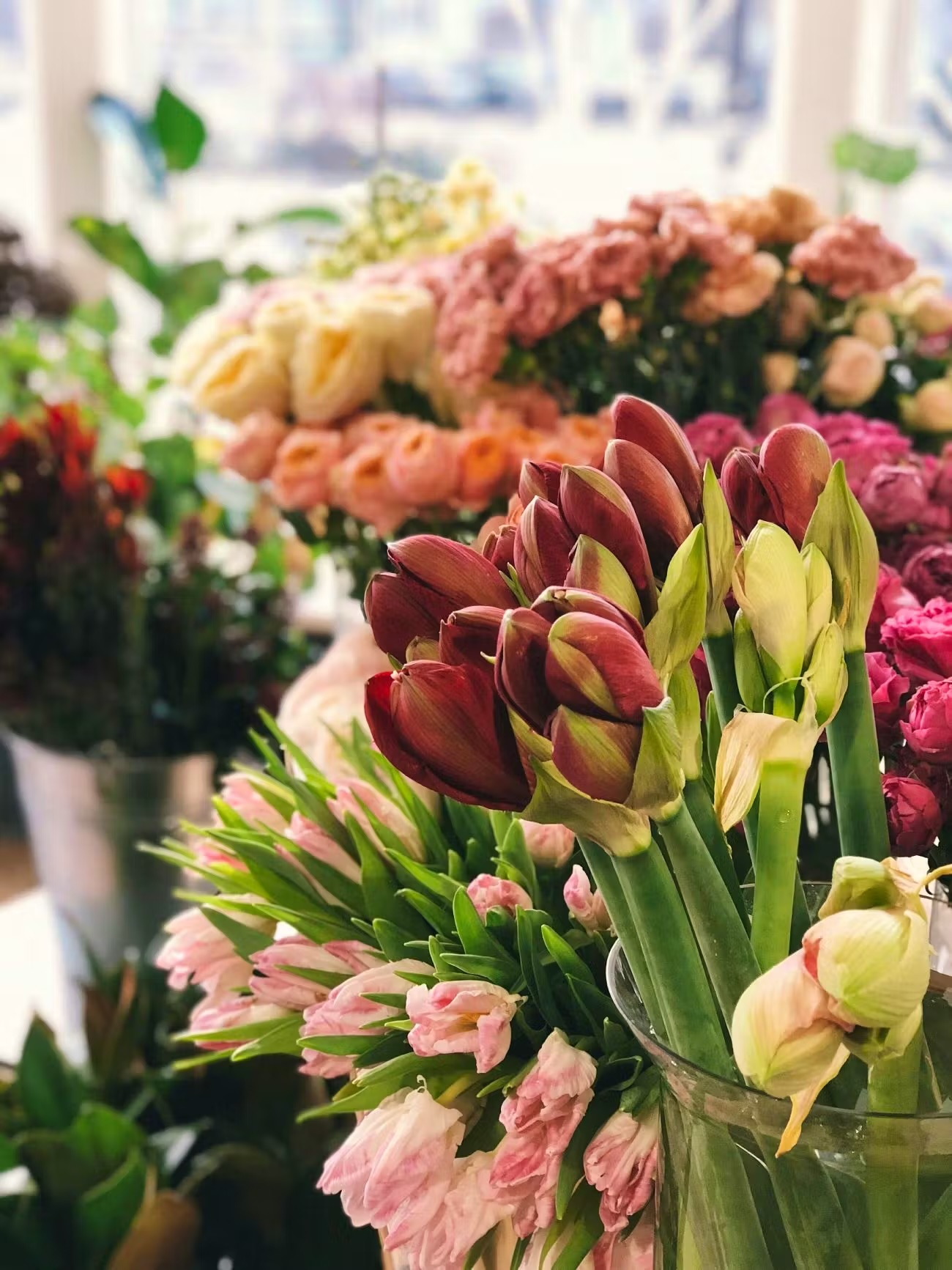 Se preferite i fiori in vaso, optate per fiori regionali, stagionali e privi di pesticidi.  Pexels