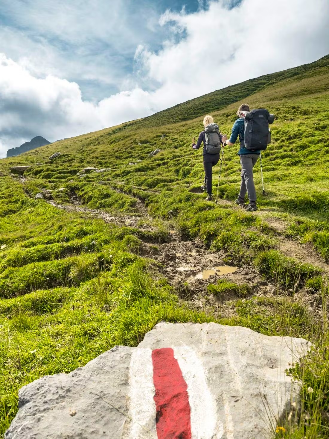 Attention : si vous quittez les chemins de randonnée balisés, vous risquez d'effrayer les animaux, de détruire les plantes et de modifier les cours d'eau en élargissant les chemins.  Suisse Rando