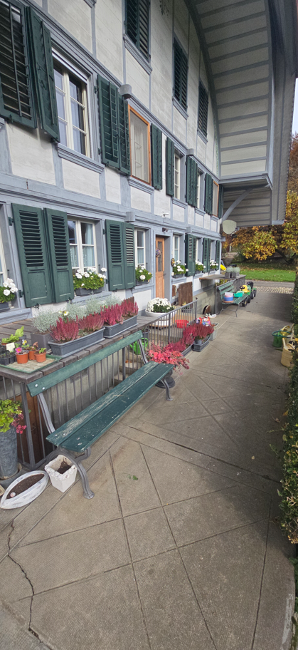 Der Lieblingsplatz vor dem grossen Garten.