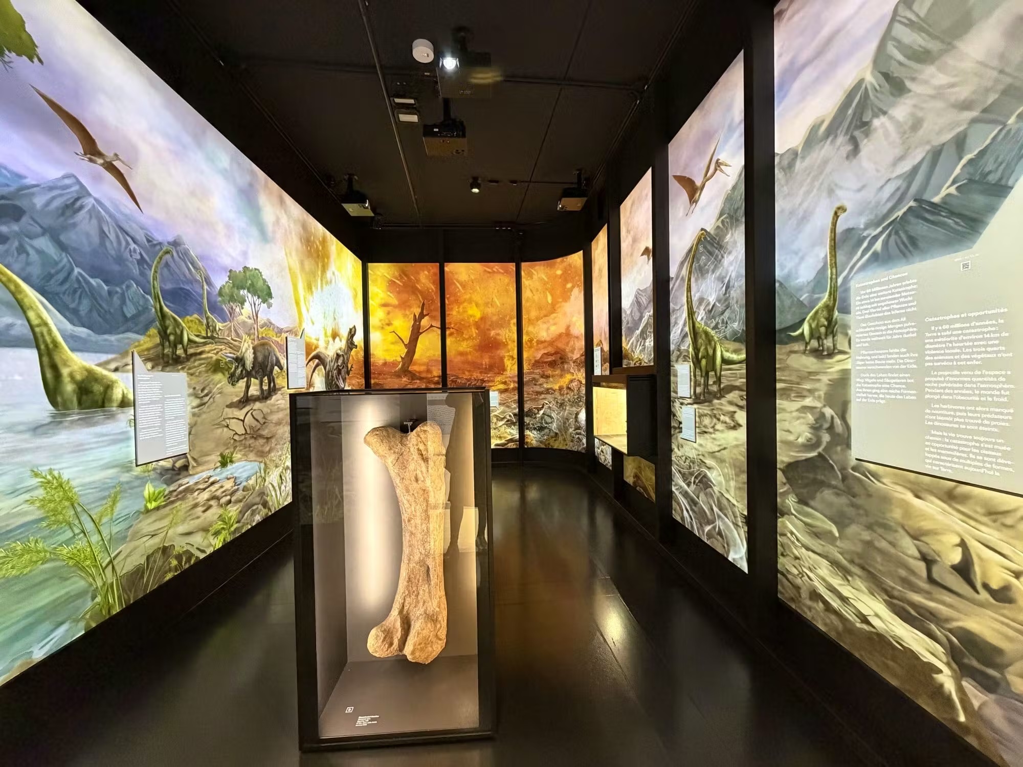 Um den Klimawandel zu verstehen, reist die Ausstellung weit zurück.WSZ