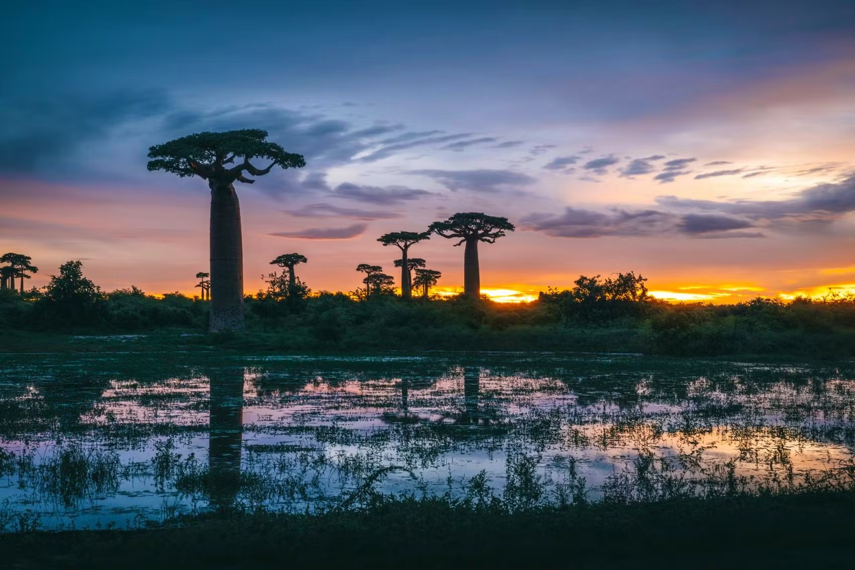 Madagascar est la principale région productrice de vanille, mais aussi l'un des pays les plus touchés par les conséquences du changement climatique. Unsplash | Nicolas Jehly