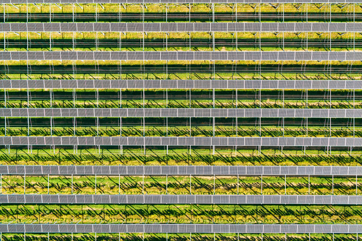 Agri-PV-Anlage in Leuggern (AG) (Daniel Hager)
