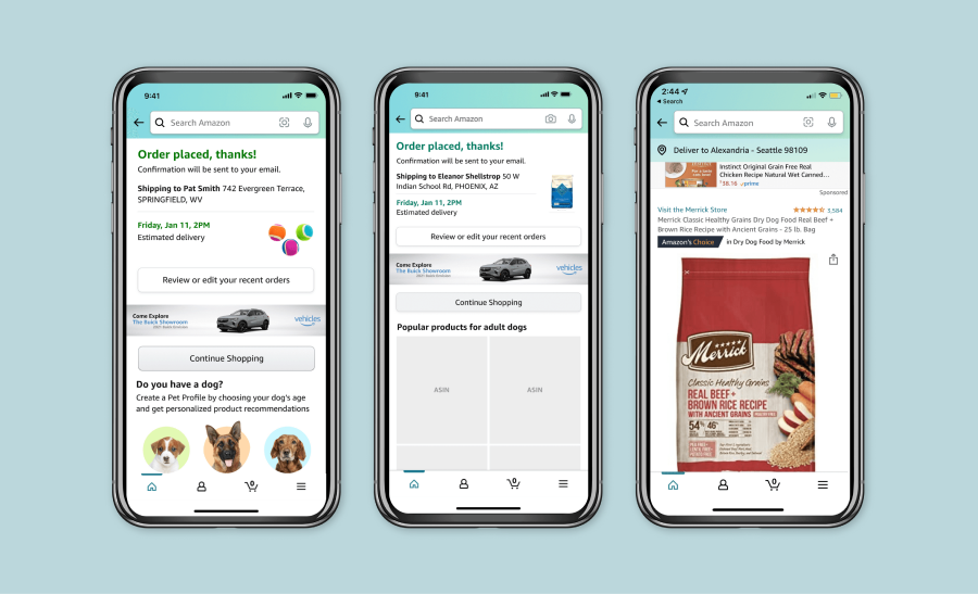 Amazon project screens