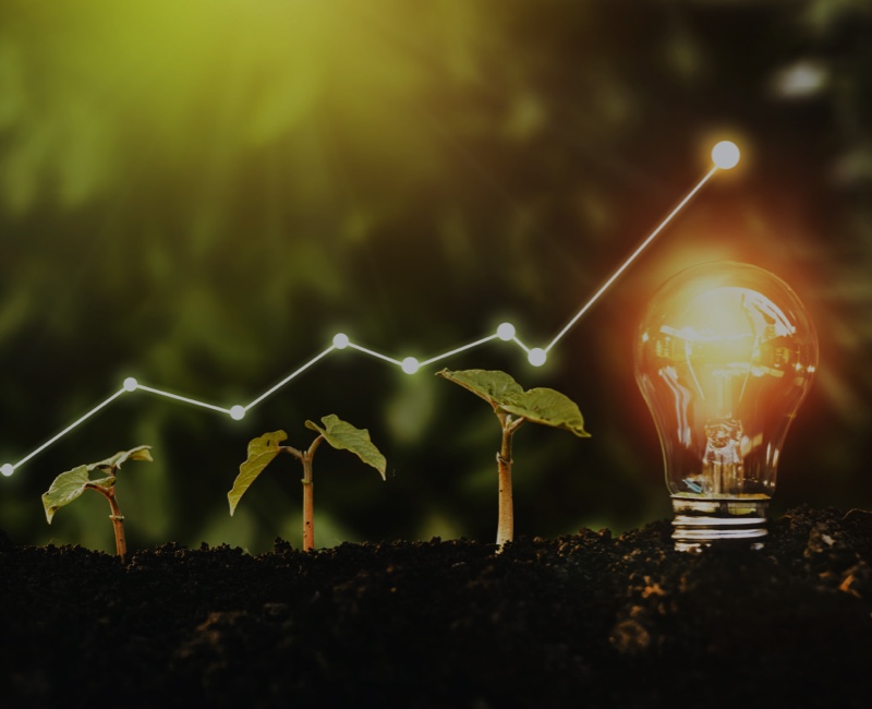Venture Capital Investment - die Pflanze wächst zu einer Idee