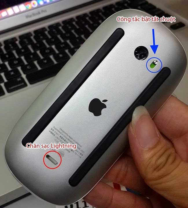 cách kết nối chuột magic mouse 2 với macbook