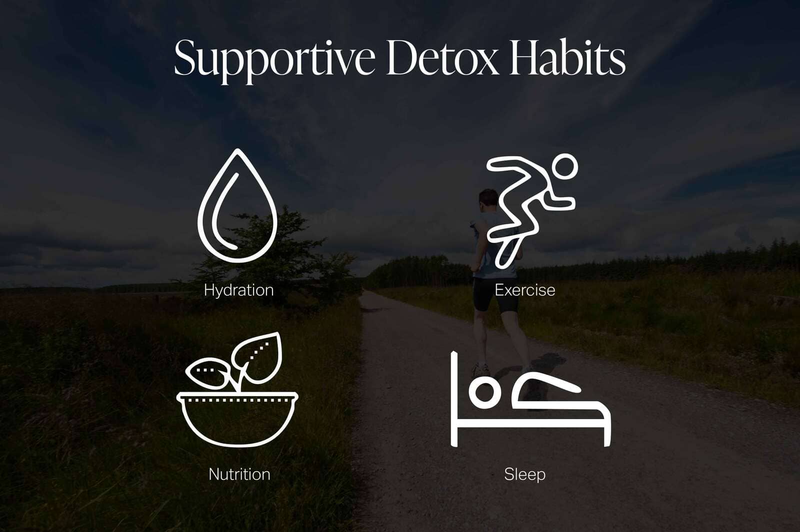 Supportive Detox Habits