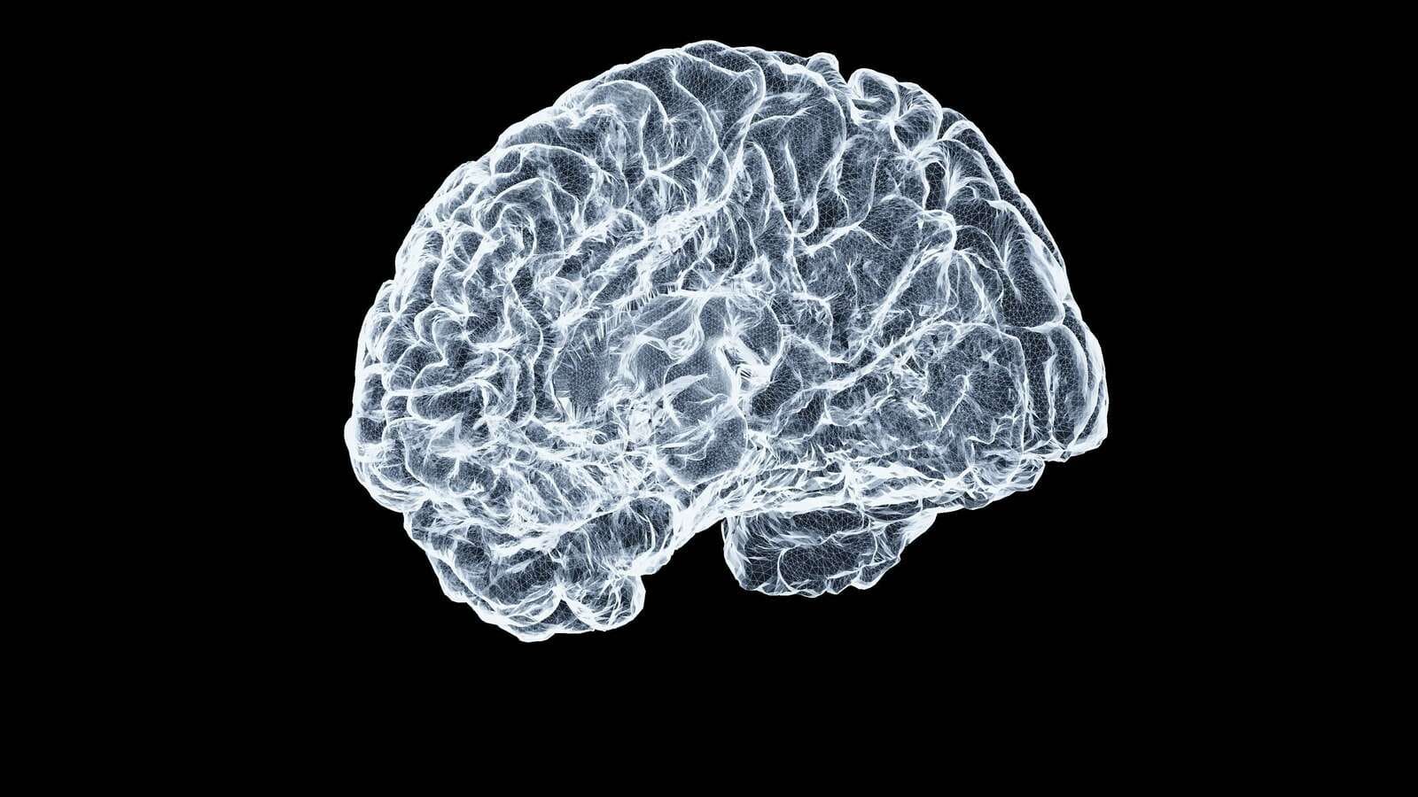 What Is THC and How Does It Affect the Brain?