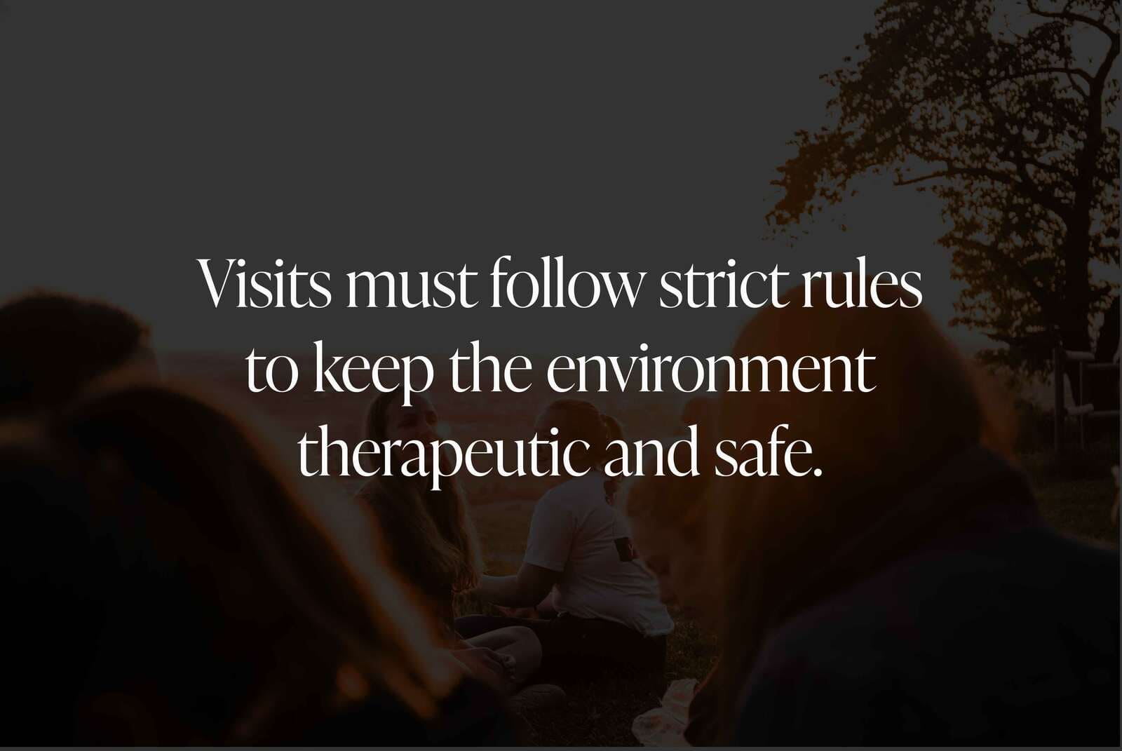 Visitation Rules and Guidelines