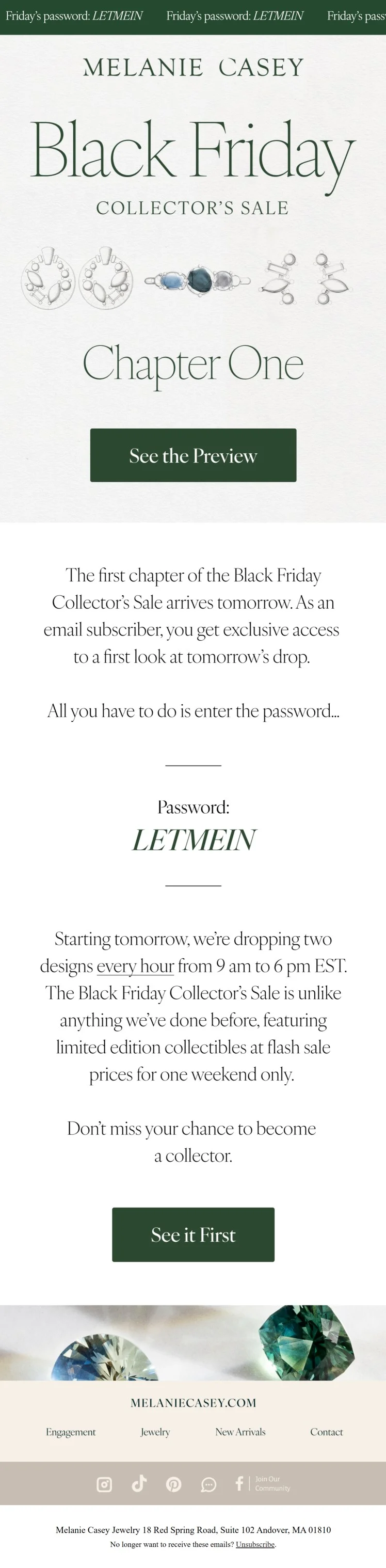 Black Friday early access email with VIP passcodes from Melanie Casey
