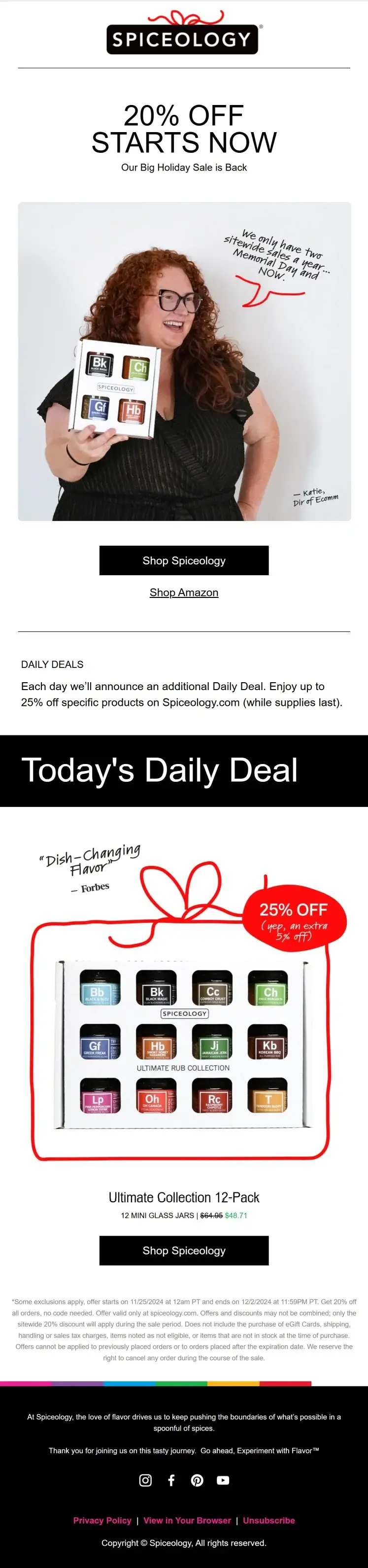 Black Friday sale email with daily deals from Spiceology