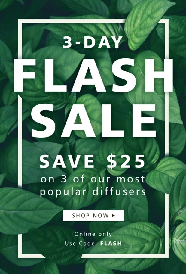 A flash sale creative needs to declare a clear USP to attract customers