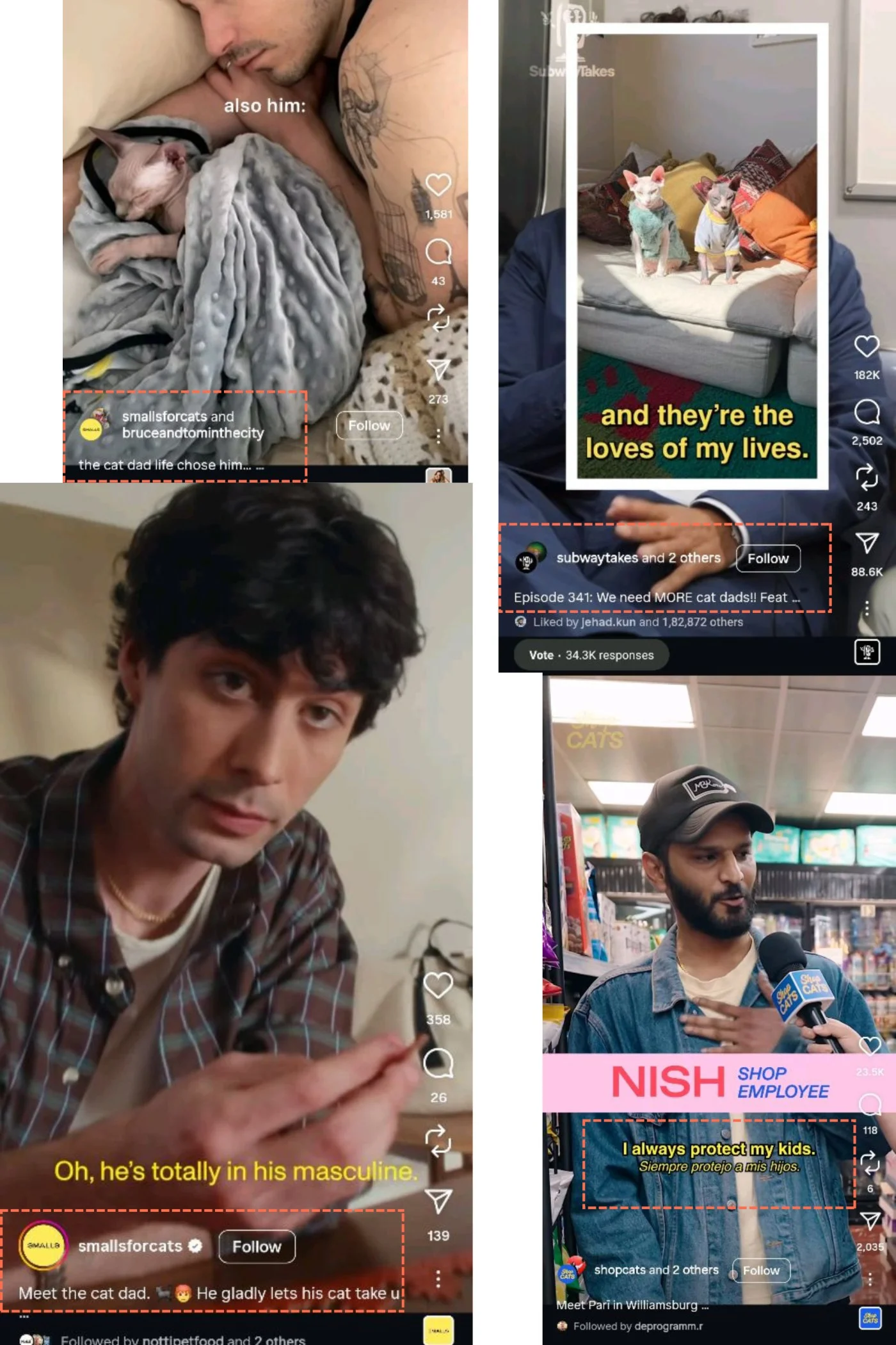 Social campaign collage of micro-influencers promoting organic cat food to cat dads (Smalls example)