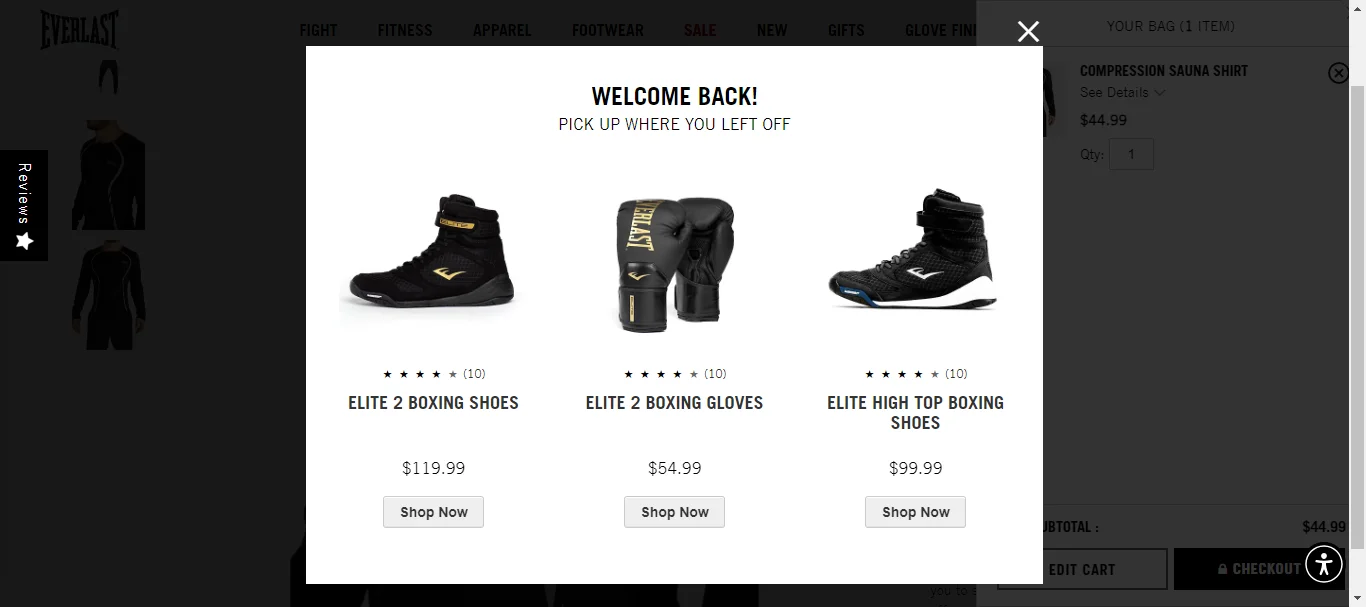 BFCM on site cart retargeting - Everlast