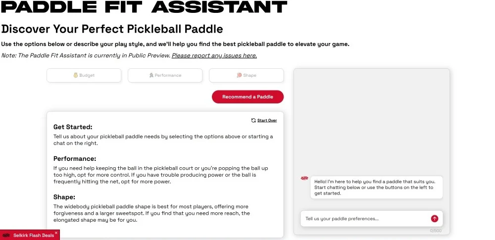 Selkirk Paddle Assistant AI chatbot helping shoppers choose products via interactive gamified chat