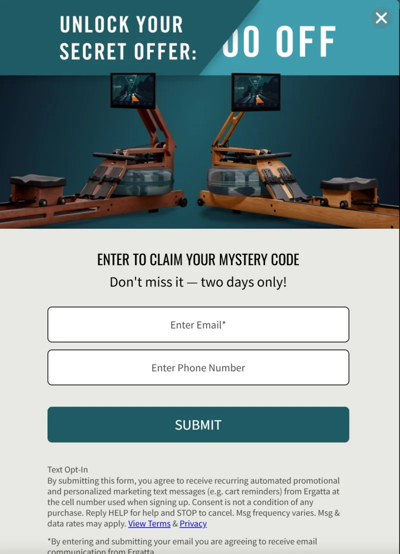 Ergatta exit pop-up offering mystery discount with secret offer reveal