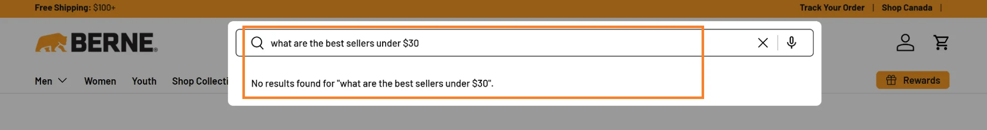Berne's voice search returning no results