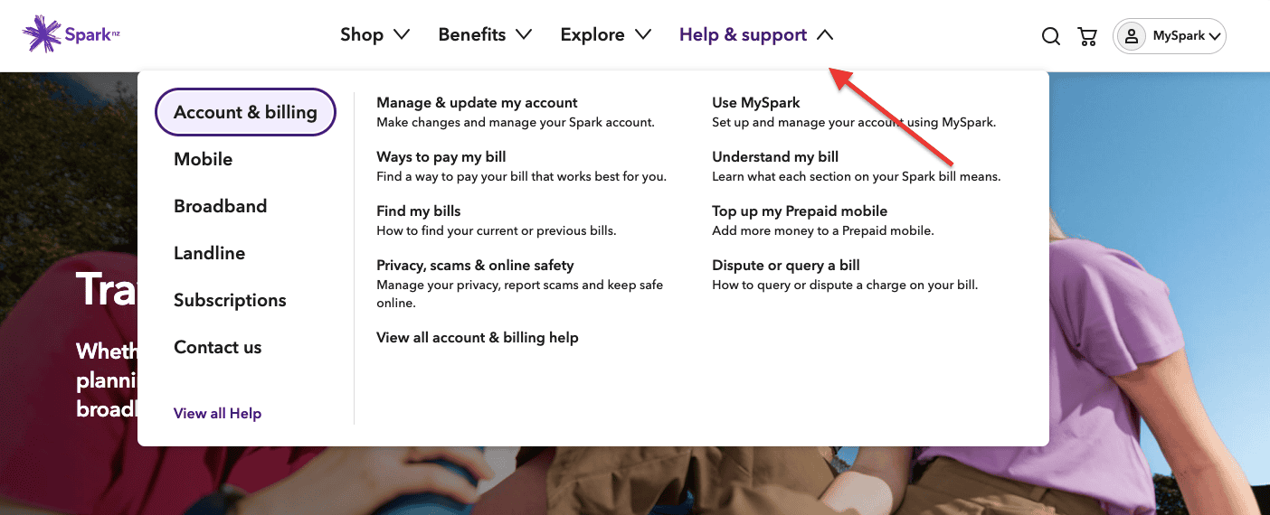 Spark support example