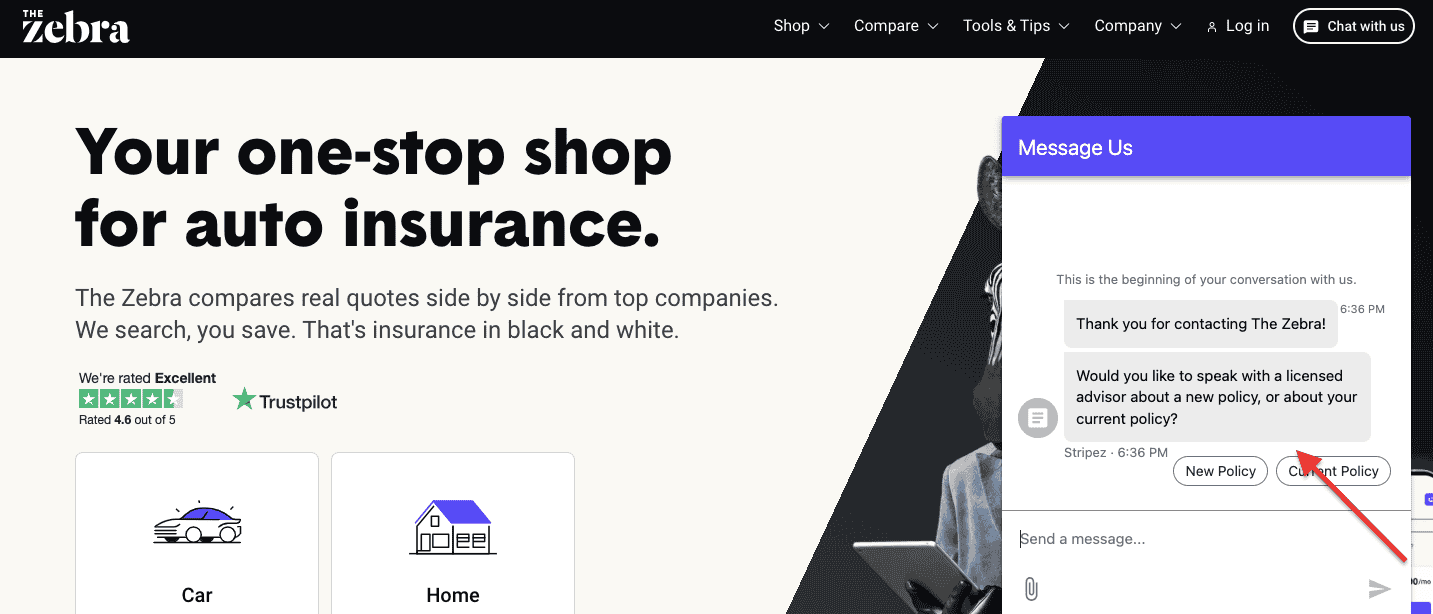 Zebra live chat example