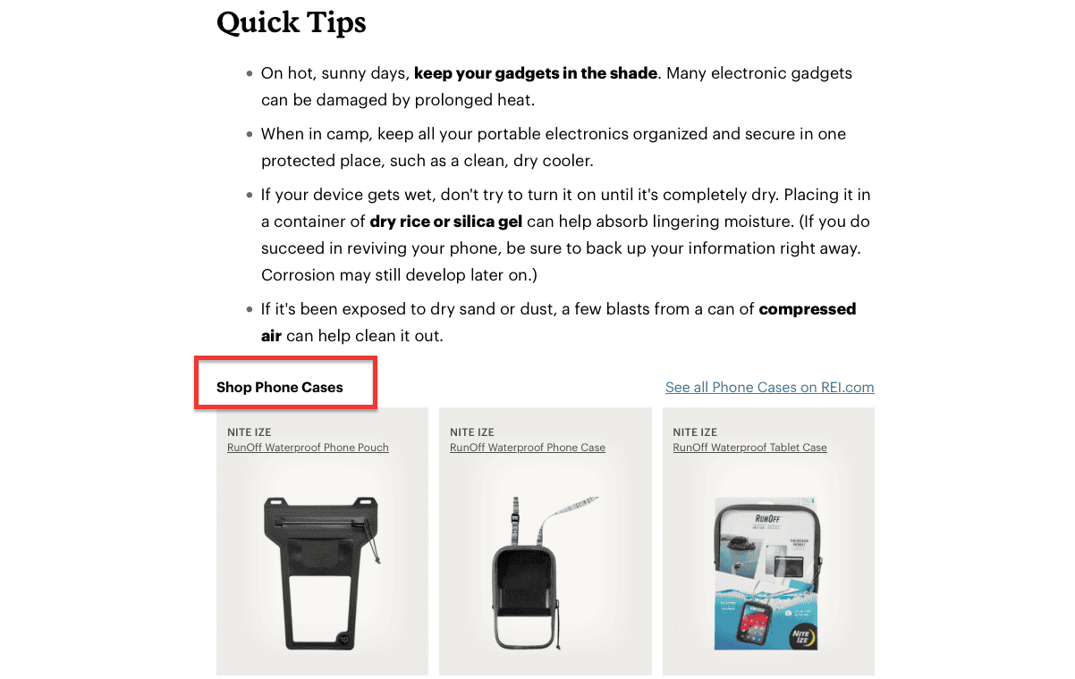 REI Micro Moments Example