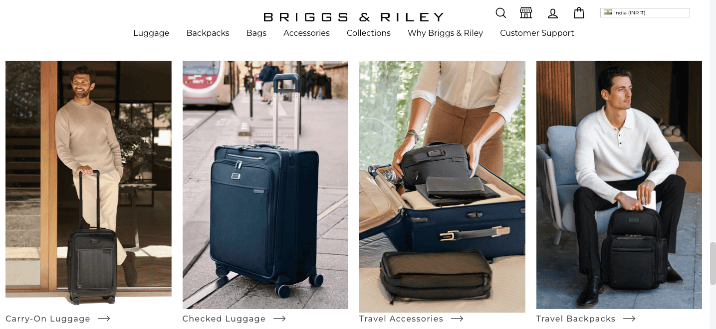 Briggs and Riley category examples