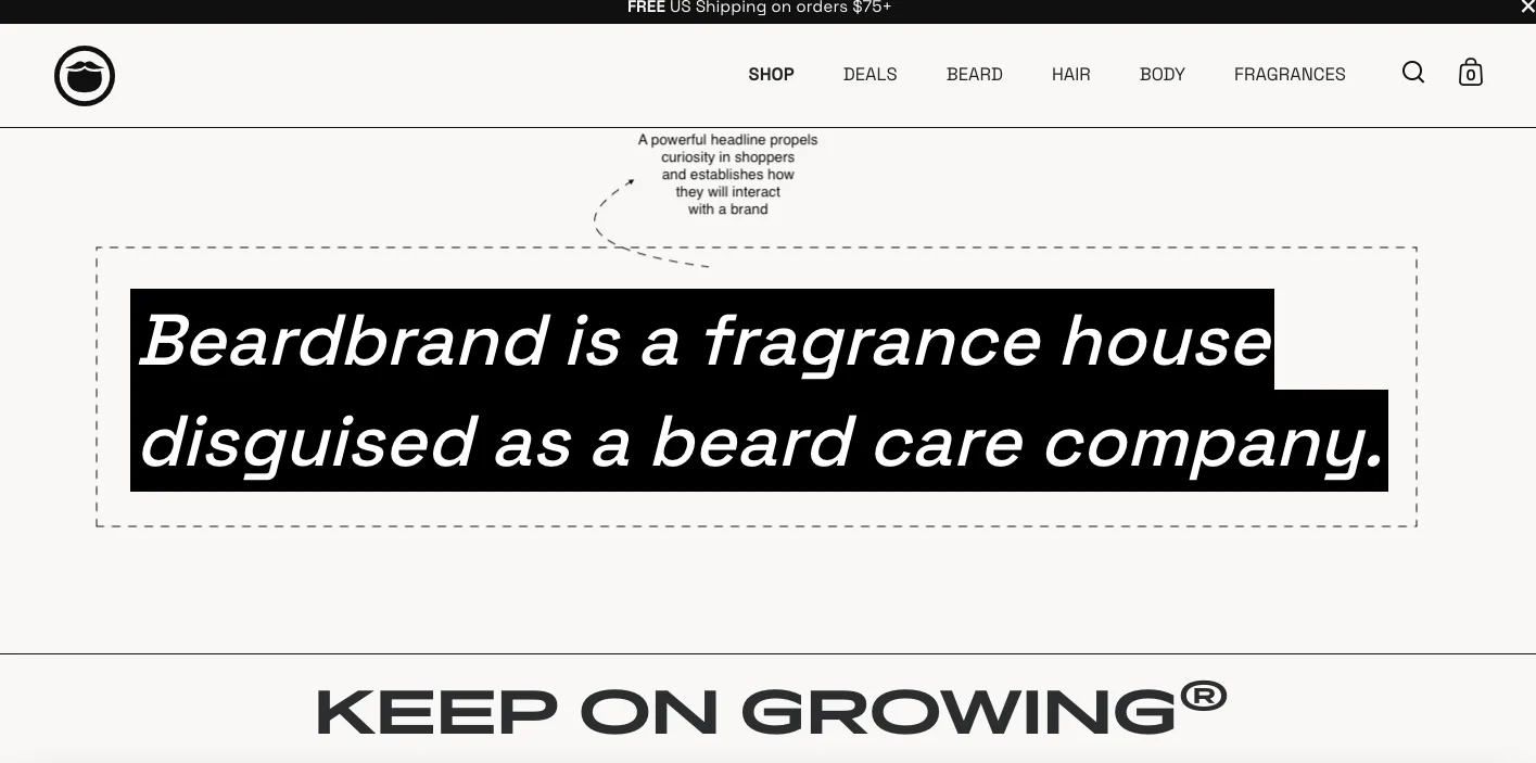 Beardbrand hook example
